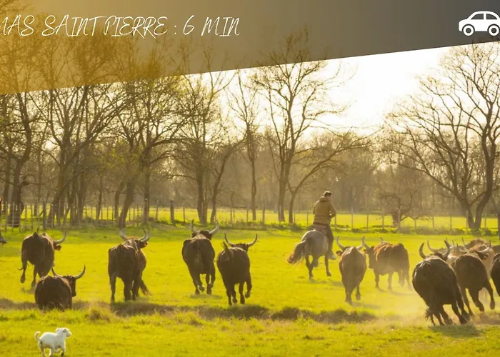 Le 8 - Maison - Jardin - Bbq - Aigues Mortes